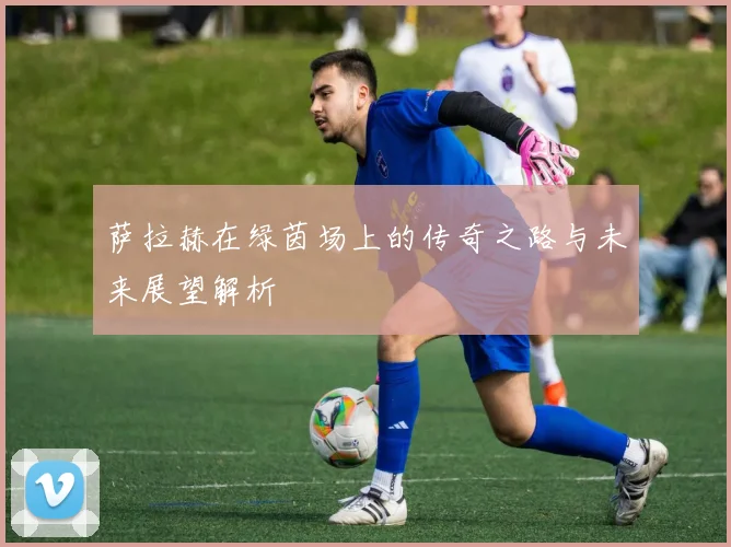 萨拉赫在绿茵场上的传奇之路与未来展望解析