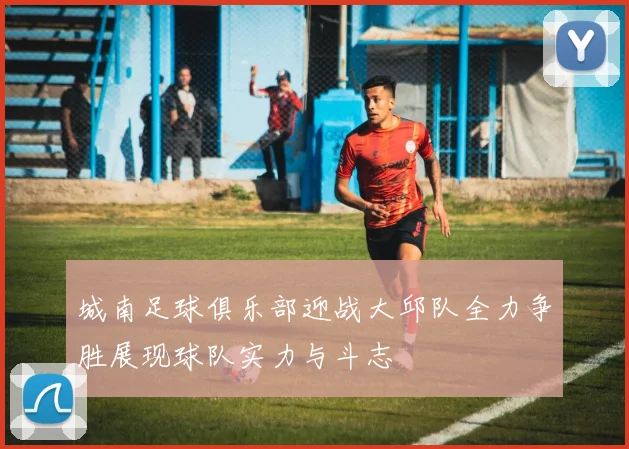 城南足球俱乐部迎战大邱队全力争胜展现球队实力与斗志
