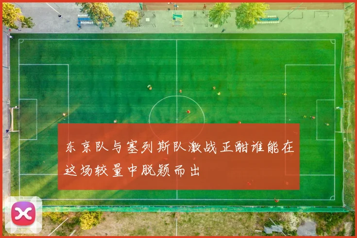 东京队与塞列斯队激战正酣谁能在这场较量中脱颖而出