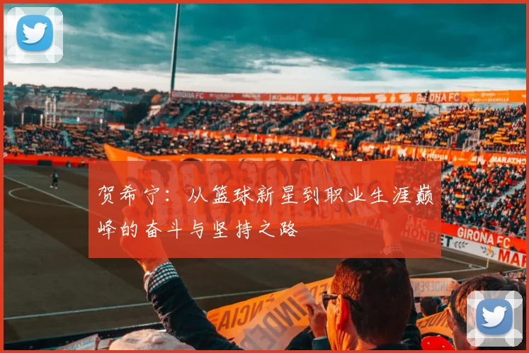 贺希宁：从篮球新星到职业生涯巅峰的奋斗与坚持之路