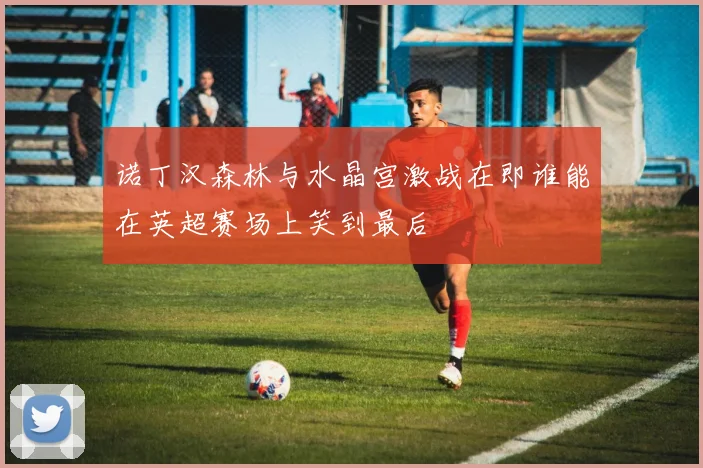 诺丁汉森林与水晶宫激战在即谁能在英超赛场上笑到最后