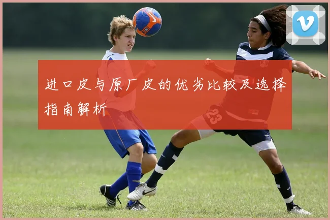 进口皮与原厂皮的优劣比较及选择指南解析