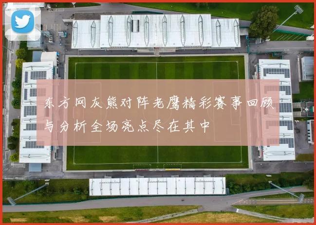 东方网灰熊对阵老鹰精彩赛事回顾与分析全场亮点尽在其中